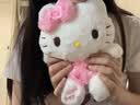 名创优品（MINISO）Hello Kitty凯蒂猫小猫玩偶公仔玩具摆件抱枕生日礼物女正版授权 实拍图