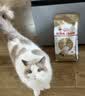 皇家（ROYAL CANIN）泌尿道处方猫粮LP34稀释尿液溶解鸟粪石结石猫全价处方粮1.5KG 实拍图