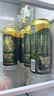 青岛啤酒（TsingTao）奥古特500ml*18罐 整箱装 实拍图