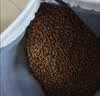 LEGENDSANDY蓝氏狗粮通用金毛拉布拉多泰迪鸡肉三文鱼金枪鱼15kg【囤货装】 实拍图