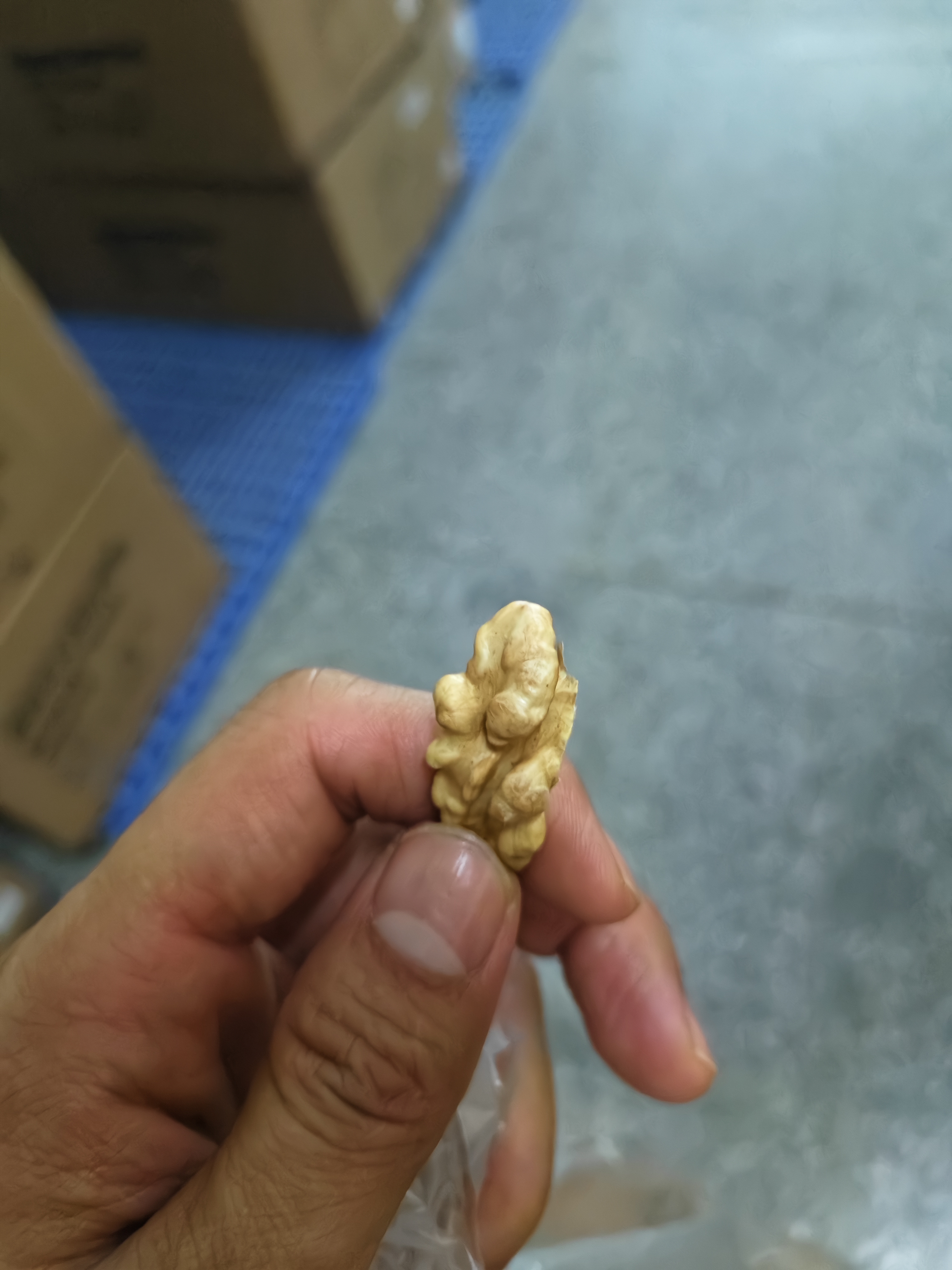 楼兰蜜语【新货】高品质阿克苏年新薄皮核桃5斤原味送礼礼盒特产坚果零食 实拍图