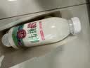 天润新疆鲜奶 A2β-酪蛋白 3.8g优质蛋白鲜牛奶低温奶 480g*3瓶 实拍图