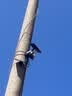 网络眼4G太阳能摄像头AOV室外无电无网终身免流高清户外监控器免插电360度无死角全景夜视 实拍图