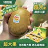 佳沛（zespri）新西兰金奇异果18粒超大原箱175-204g猕猴桃水果礼盒 实拍图