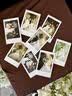 INSTAX富士instax立拍立得 mini相纸 白边双包20张+闪闪星钻边框贴 实拍图