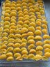 长帝（changdi）S1Pro风炉电烤箱家用专业烘焙多功能大容量空气炸锅一体机发酵蒸汽升级款三层同烤双11礼物 实拍图