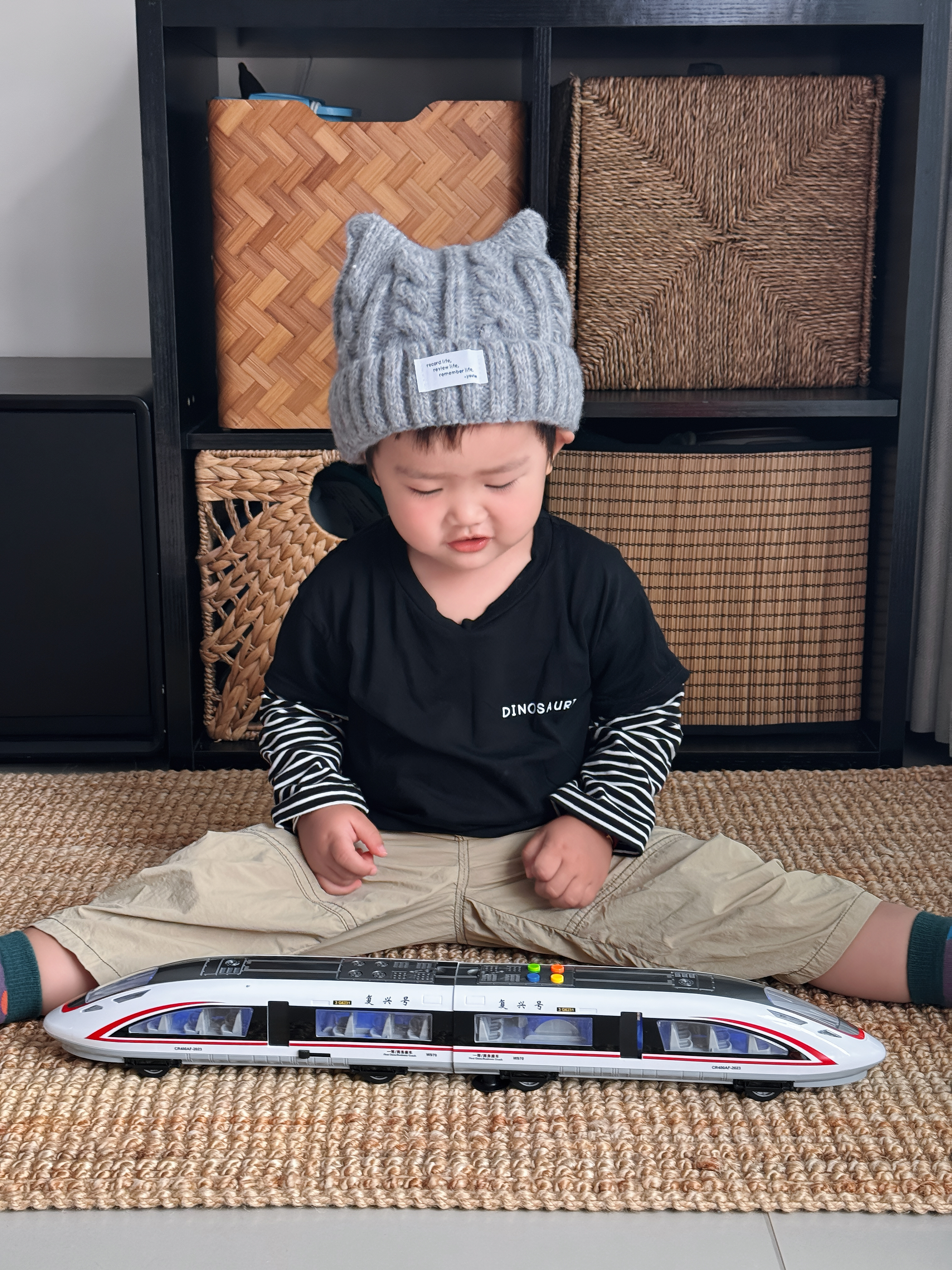 狂野骑士儿童声光和谐号模型复兴号高铁列车惯性火车男孩玩具礼物 实拍图