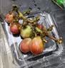 京鲜生 云南妮娜皇后红提 红酒风味葡萄1-1.5斤 单果12g起 新鲜水果 实拍图