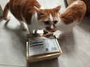 好主人（CARE）金装好主人猫粮无谷猫粮全价成猫通用80%含肉量10kg【宠物金选】 实拍图