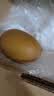 佳沛（zespri）新西兰金奇异果22粒巨大原箱146-175g猕猴桃水果礼盒 实拍图