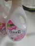 当妮香氛洗衣液淡粉樱花+淡雅罗兰11.4斤装(1.9kg*3瓶) 留香品质严选 实拍图