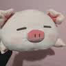 名创优品（MINISO）小猪B-BO玩偶抱枕娃娃公仔抱睡生日礼物女学生午睡枕趴趴bobo猪 实拍图