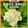 密农人家密云新鲜农家散菜花500g 菜花 脆嫩花菜 每日现采花椰菜 蔬菜 实拍图