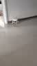 【京喜甄选】椅子万向轮美缝凳子带轮旋转擦地矮凳美甲修脚凳滑轮 儿童凳-米白色款 实拍图