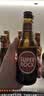超级波克（SUPER BOCK）经典黄啤酒 进口啤酒  250ml*24瓶 聚会烧烤送礼整箱装葡萄牙原装 实拍图