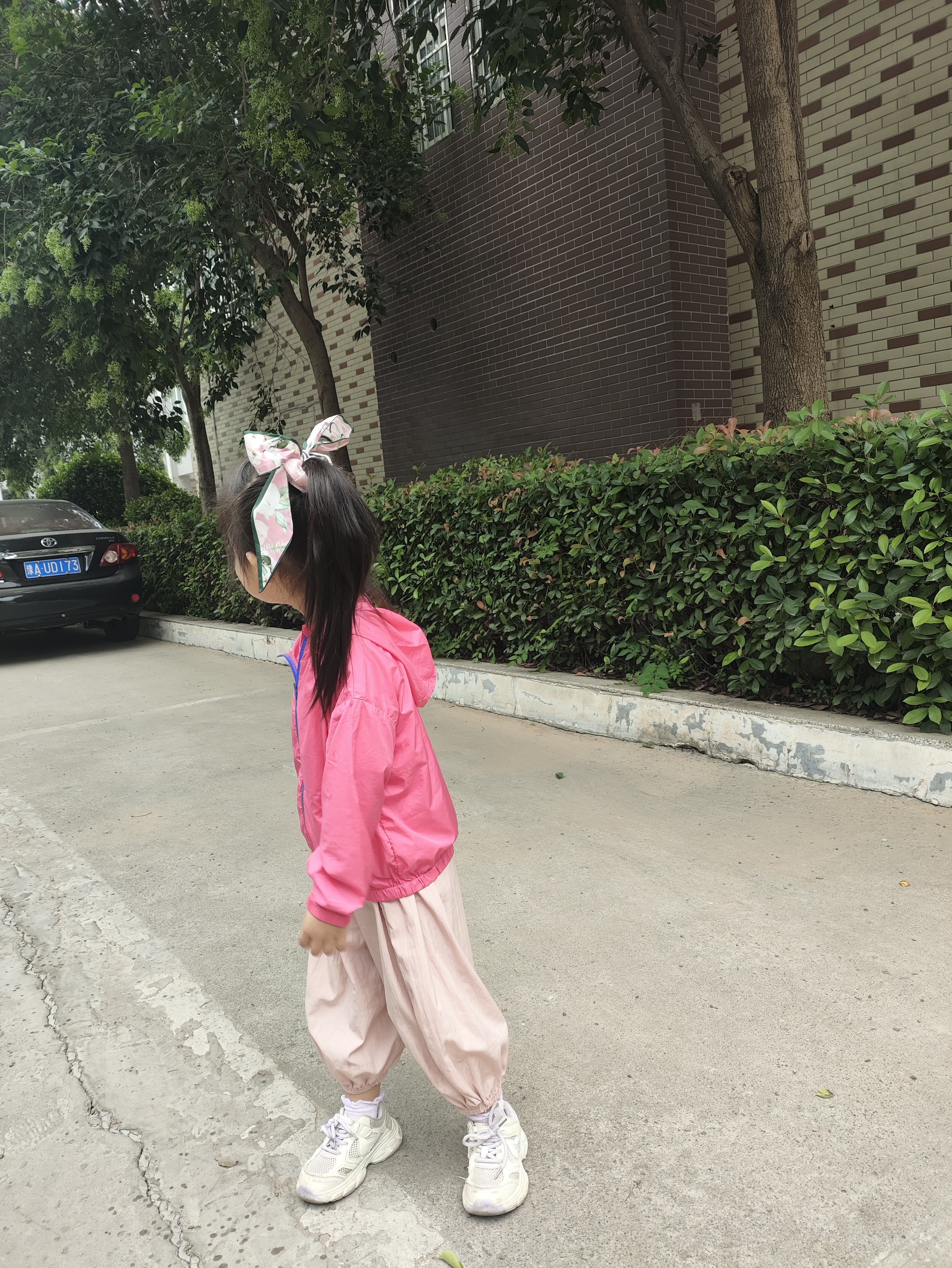蝴蝶结发带女2025新款飘带头绳大肠发圈高级感扎头发皮筋发饰发绳 粉色 实拍图