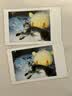 INSTAX富士instax立拍立得 mini相纸 白边双包20张+甜心牛仔相册 实拍图