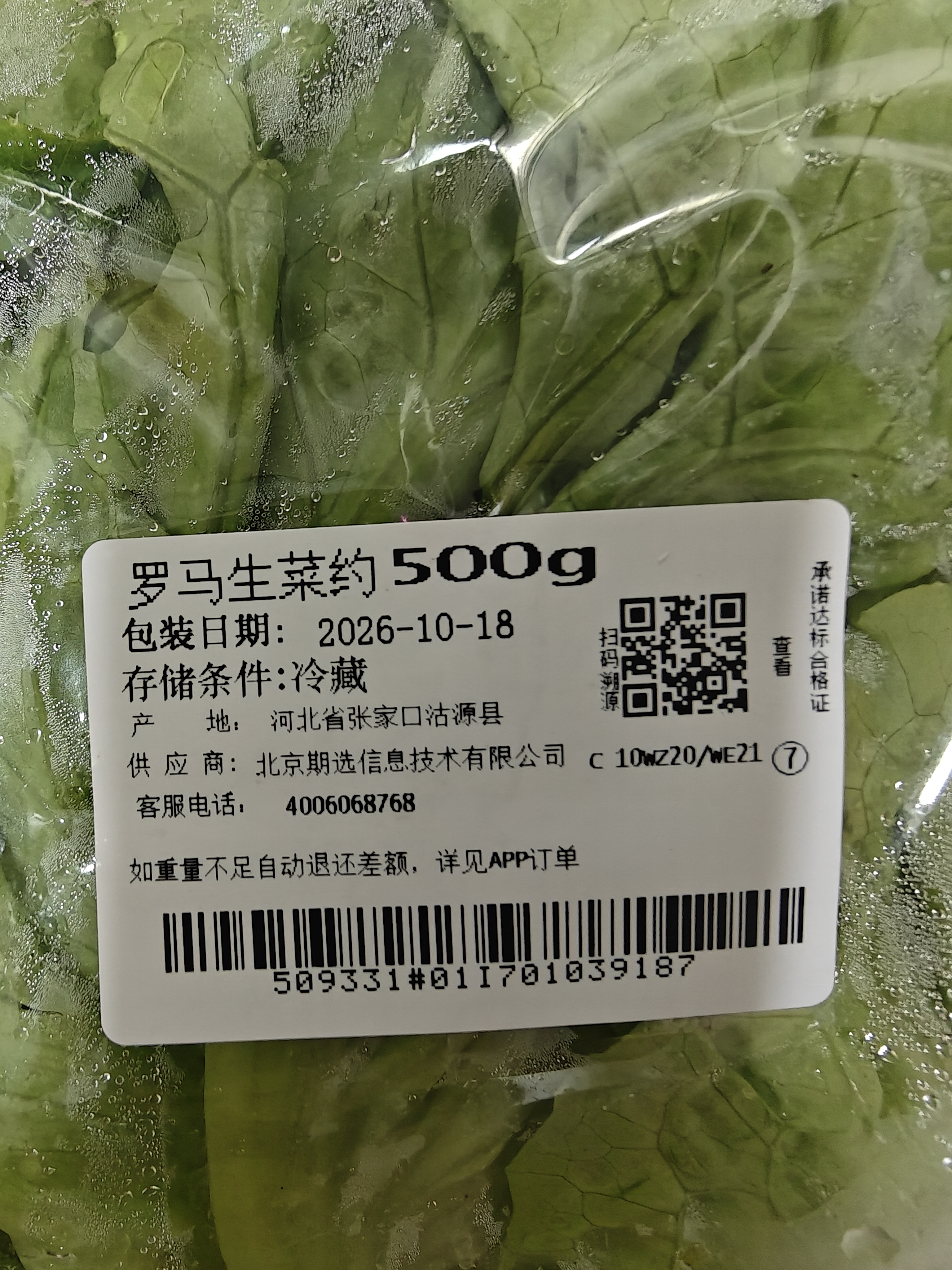 罗马生菜约500g 实拍图