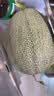 脆甜西州蜜瓜1粒约1.8kg 实拍图