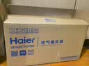 海尔（Haier）【宝宝风】空气循环扇家用卧室轻音遥控电风扇香薰抑菌落地扇台式净化驱蚊风扇省电空调扇HFX-Y00D 实拍图