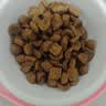 皇家猫粮 英短成猫粮 BS34 通用粮 12月以上 2KG【宠物金选】 实拍图