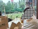蕉下（beneunder）白t恤女短袖正肩打底衫棉吸汗春装内搭高档百搭CT005霜奶白L 实拍图