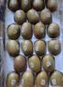佳沛（zespri）新西兰金奇异果22粒巨大原箱146-175g猕猴桃水果礼盒 实拍图