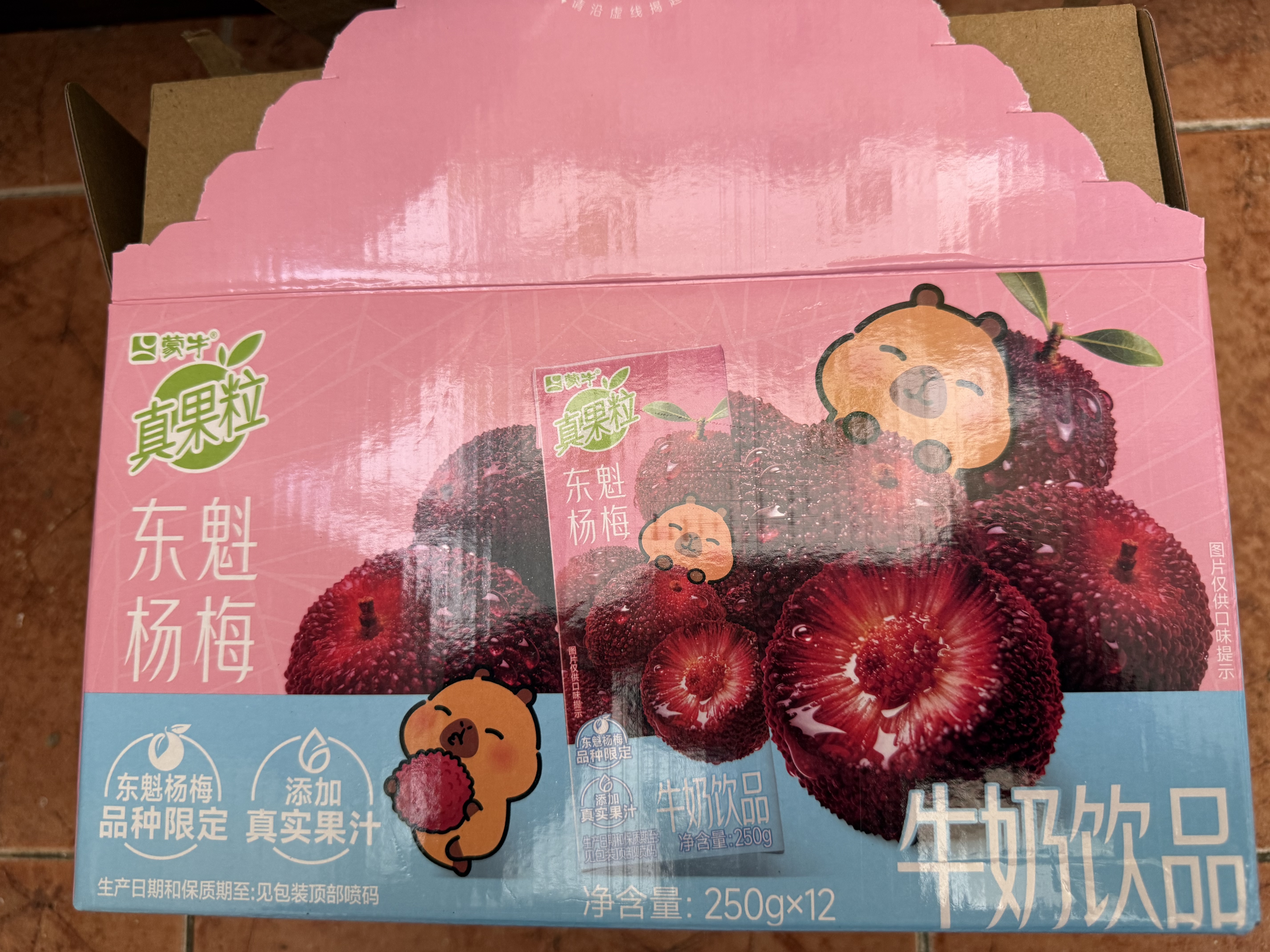 蒙牛真果粒牛奶饮品东魁杨梅味含乳饮料250g×12盒 卡皮巴拉礼盒 实拍图