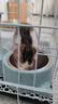 凯锐思猫粮鲜肉奶糕幼猫粮4-12月助免疫鲜肉冻干双拼幼猫粮4斤 实拍图