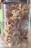 洽洽坚果进化论混合纯坚果500g罐装榛子仁腰果仁巴旦木夏威夷果营养 实拍图