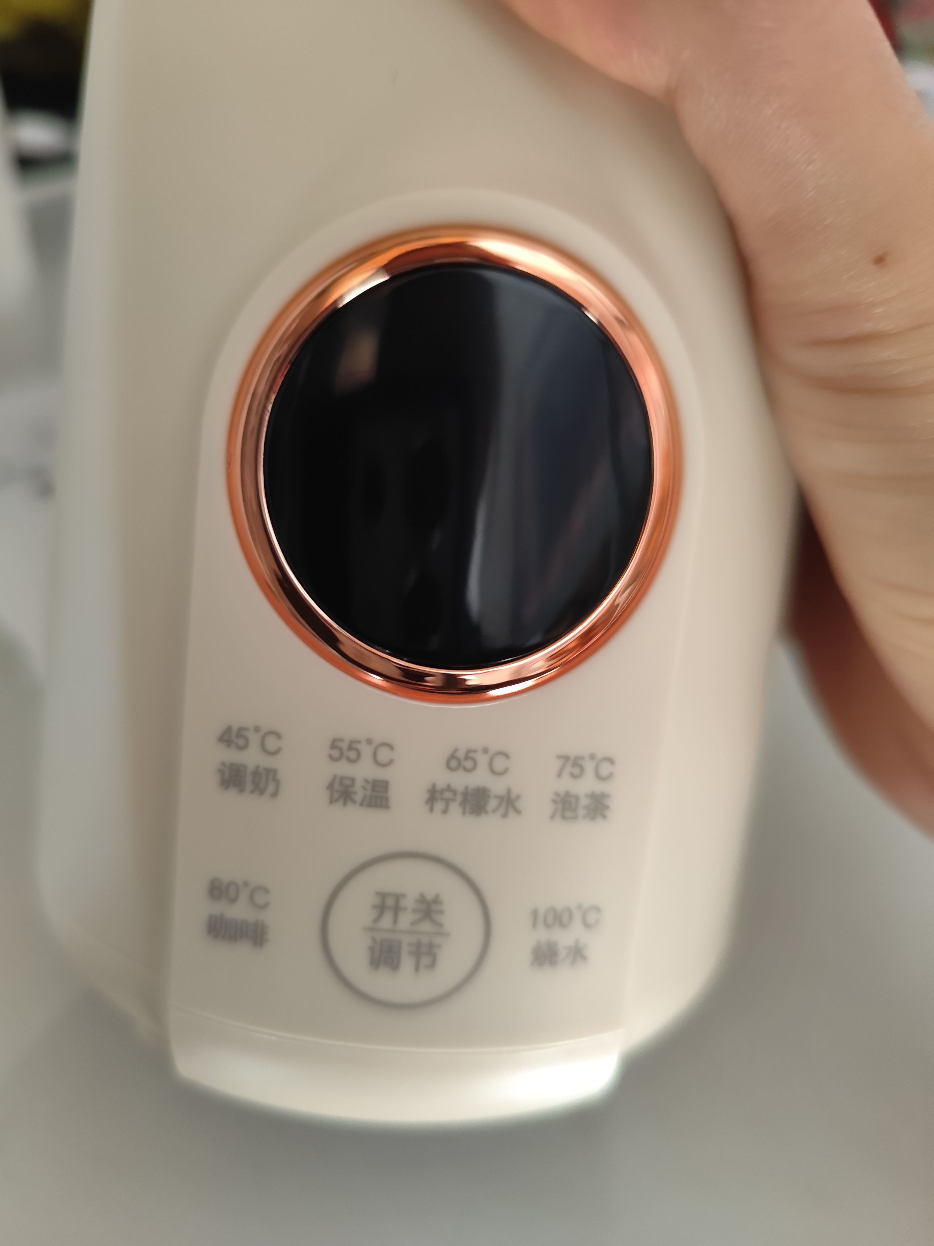 JIEXG德国电热水杯便携式烧水杯旅行家用宿舍小型迷你加热开水杯不锈钢内胆保温防烫电热烧水壶 0.6L 【升级600毫升】316内胆 实拍图