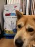 LEGENDSANDY蓝氏狗粮金毛全犬种成犬幼犬多肉蔬菜30kg【囤货装】 实拍图