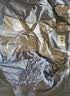 坦博尔羽绒服女短款秋冬连帽宽松保暖女士外套厚TD236356 芙蓉兰 165  实拍图