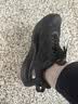 北面（The North Face）越野跑鞋男女综合训练鞋轻便运动鞋减震休闲 8G6M 实拍图