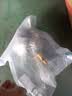 伊莱科（ELECALL）不锈钢浮球开关 水位控制器耐高温直塞式液位开关浮球阀4分 实拍图