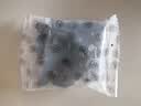 新边界（new boundaries）桑葚干王250g 精选新疆无沙桑子即食超大颗粒桑椹子养生泡酒泡茶 实拍图