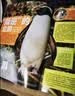 【满200减100】kids环球少年地理少年版杂志送好礼 2027年1月起订 1年共12期 6-14岁儿童科普百科书籍美国国家地理少儿版版权合作 动物科技探索太空科普 青少年自然趣味知识期刊杂志铺 实拍图