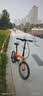 大行（DAHON）P8折叠自行车经典成人20英寸8速折叠车男女式运动单车KBC083 橙色【经典版】 实拍图