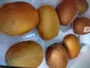 佳沛（zespri）新西兰金奇异果猕猴桃 5粒装 单果约88-103g 水果源头直发 实拍图