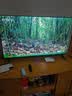 乐视TV50英寸 F50A 全高清高色域画质HDR 智能网络投屏 游戏液晶平板电视机 家用客厅酒店监控商用显示屏 50英寸 F50A 超高质价比 裸机版本 实拍图