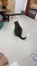 力狼 猫条猫零食 成幼猫通用宠物猫咪零食猫湿粮 【超值囤货】鲜肉猫条15g*100支 实拍图