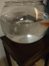 SOBO圆形鱼缸客厅桌面家用摔不烂pc塑料鱼缸高透明仿玻璃小型金鱼缸 【裸缸】35*26cm 实拍图