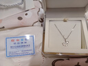 银千惠999足银三生有杏项链女士高级感吊坠纪念情人节生日礼物送女朋友 三生有杏项链+520光影礼盒 银杏叶项链配足银证书/玫瑰花礼盒送老婆/情人节礼物 实拍图