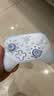 飞智沙漠狐 冰魄蓝 多模版无线游戏手柄 switch2电脑PC手机steamNS 星露谷物语【手柄+接收器】 实拍图