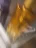 欧莱雅黄金发膜250ml 免蒸护发膜非护发素 改善干枯发防毛躁柔顺顺滑 实拍图