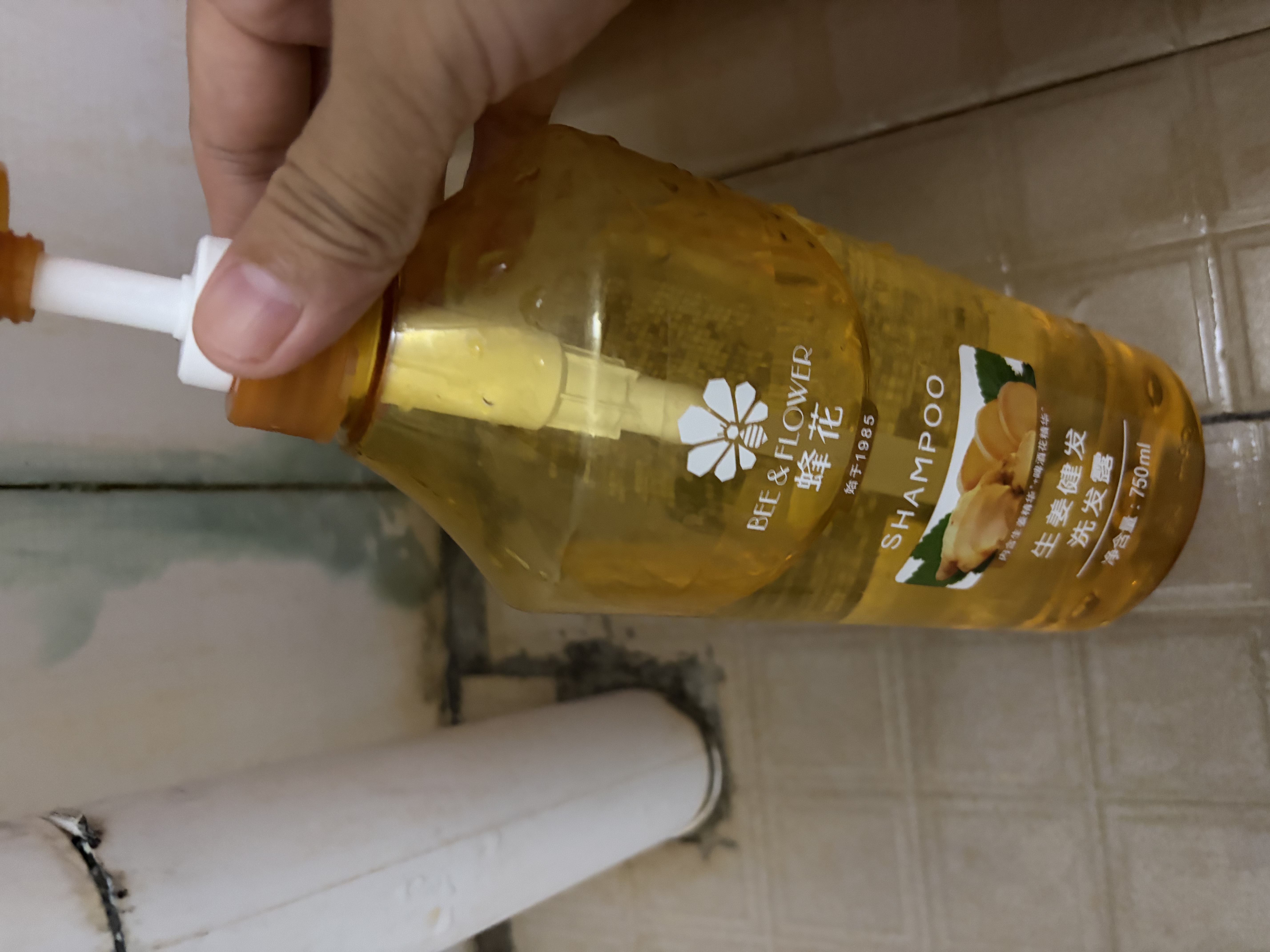 蜂花王俊凯推荐生姜健发啤酒洗发露750ml 实拍图