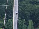奥克斯4g摄像头室户外终身免充值流量家用监控器360度无死角带夜视全景旋转云台户外家用手机远程 实拍图