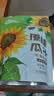 MAOKE原味瓜子500g恰恰葵花籽大颗粒宿舍网红休闲零食小吃大包装 实拍图