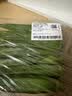 【水果菜】水果秋葵约300g 实拍图
