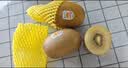 佳沛（zespri）新西兰金奇异果10粒巨大果146-175g猕猴桃水果礼盒 实拍图